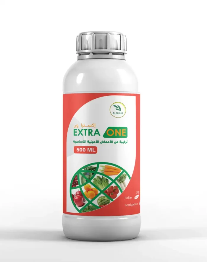 Extra One
