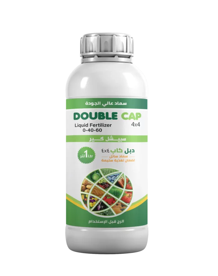 Double Cap 4*4